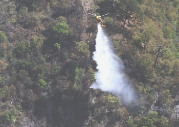 Captura de Pantalla 2022 04 18 a las 15.22.07