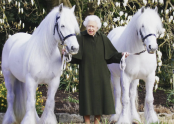 Captura de Pantalla 2022 04 21 a las 17.07.04