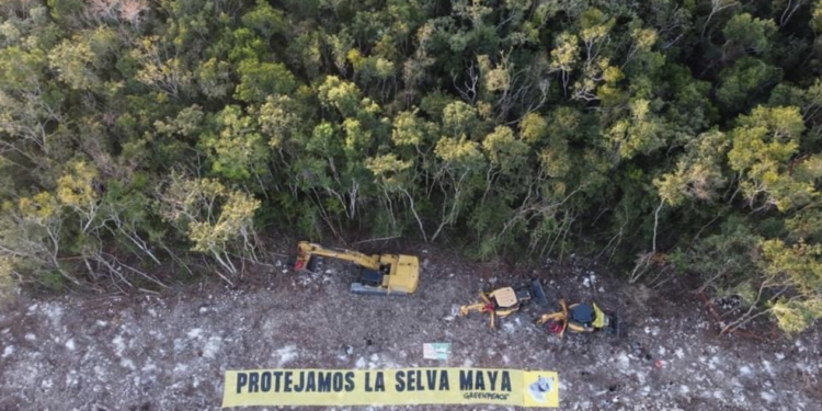 Greenpeace presenta amparo contra decreto con el que se ejecuta tramo 5 del Tren Maya 1 Captura de Pantalla 2022 04 27 a las 13.25.01