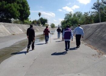 busqueda yolanda focus 0 0 955 636