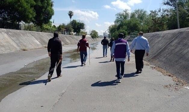 busqueda yolanda focus 0 0 955 636