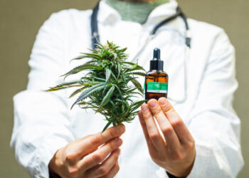 doctor holds marijuana