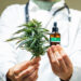Cofepris otorgó 26 autorizaciones para uso medicinal de cannabis 7 doctor holds marijuana