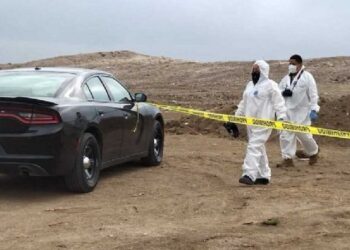 f608x342 89195 118918 7