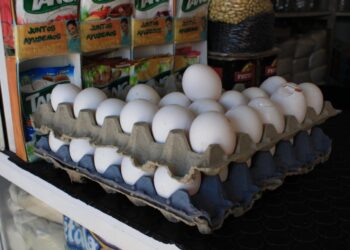 AUMENTA CONTRABANDO DE HUEVO EN CRUCES FRONTERIZOS CON TEXAS