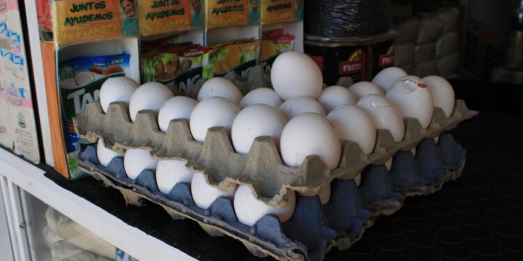 AUMENTA CONTRABANDO DE HUEVO EN CRUCES FRONTERIZOS CON TEXAS 1 AUMENTA CONTRABANDO DE HUEVO EN CRUCES FRONTERIZOS CON TEXAS