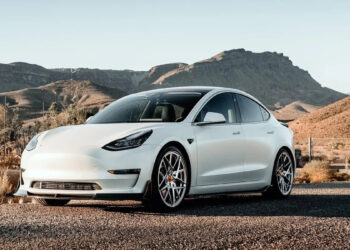 ANALISTAS PREVÉN QUE TESLA PRODUCIRÁ SU MODELO ECONÓMICO EN SANTA CATARINA