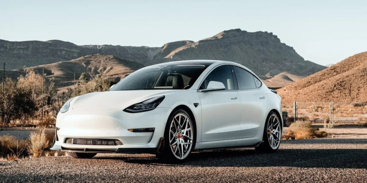 ANALISTAS PREVÉN QUE TESLA PRODUCIRÁ SU MODELO ECONÓMICO EN SANTA CATARINA 1 ANALISTAS PREVÉN QUE TESLA PRODUCIRÁ SU MODELO ECONÓMICO EN SANTA CATARINA