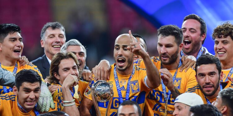 LE DAN EL SÍ EN FINAL DE TIGRES