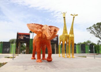 DESCARTAN CIERRE DE LA PASTORA