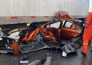 SALE VIVO DE MILAGRO