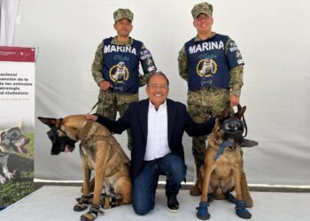 ADOPTARÁN MUNICIPIOS DE MÉXICO MODELO PRO ANIMAL DE ESCOBEDO