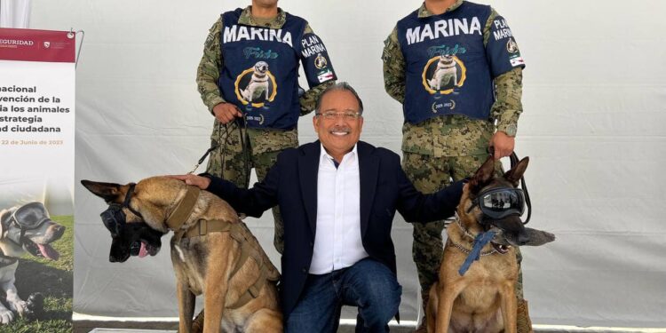 ADOPTARÁN MUNICIPIOS DE MÉXICO MODELO PRO ANIMAL DE ESCOBEDO 1 ADOPTARÁN MUNICIPIOS DE MÉXICO MODELO PRO ANIMAL DE ESCOBEDO