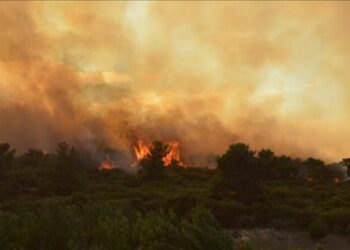 DEVASTAN INCENDIOS EN CANADÁ TRES MILLONES DE HECTÁREAS