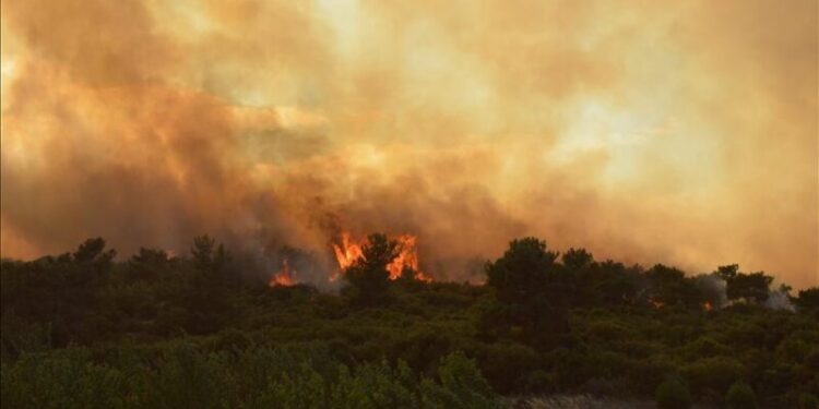 DEVASTAN INCENDIOS EN CANADÁ TRES MILLONES DE HECTÁREAS