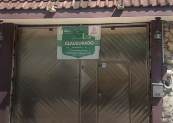 CLAUSURAN CENTRO DE ADIESTRAMIENTO POR MALTRATO A PERROS