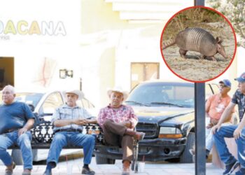 LIGAN EN LAMPAZOS LEPRA CON CONSUMO DE ARMADILLO