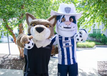 Fotografía vía X: Rayado