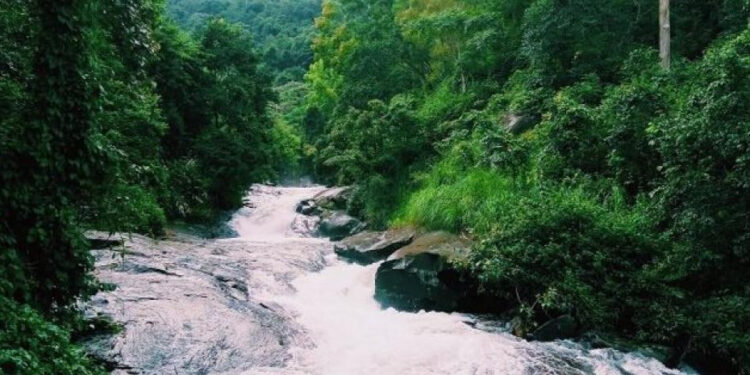 ESTUDIO REVELA QUE RÍOS Y ARROYOS SON IMPORTANTES EMISORES DE METANO Y RESALTA SU RELACIÓN CON EL ENTORNO 1 ESTUDIO REVELA QUE RÍOS Y ARROYOS SON IMPORTANTES EMISORES DE METANO Y RESALTA SU RELACIÓN CON EL ENTORNO