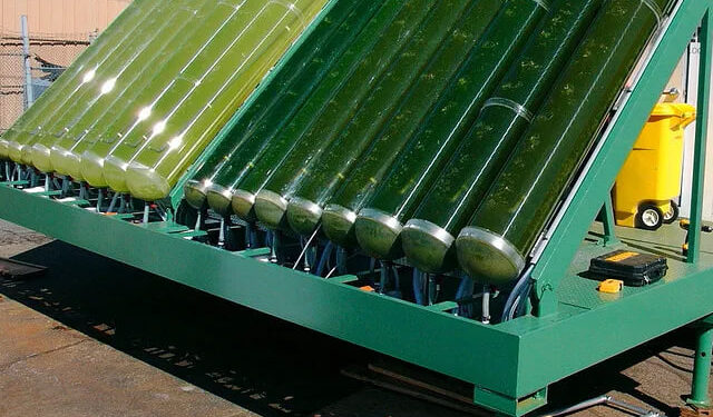 LAS ALGAS: UN POTENCIAL REVOLUCIONARIO EN LA TECNOLOGÍA DE BIOCOMBUSTIBLES 1 LAS ALGAS: UN POTENCIAL REVOLUCIONARIO EN LA TECNOLOGÍA DE BIOCOMBUSTIBLES
