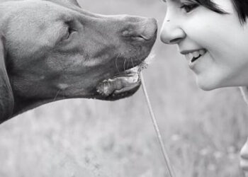 NUEVO ESTUDIO REVELA QUE LOS PERROS MUESTRAN SENSIBILIDAD CEREBRAL AL HABLA DIRIGIDA A ELLOS, ESPECIALMENTE CUANDO PROVIENE DE MUJERES