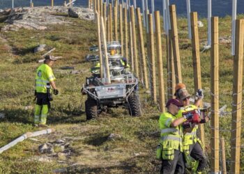 NORUEGA REVITALIZA BARRERA FRONTERIZA PARA CONTENER A SUS RENOS Y EVITAR INCURSIONES EN RUSIA 5 NORUEGA REVITALIZA BARRERA FRONTERIZA PARA CONTENER A SUS RENOS Y EVITAR INCURSIONES EN RUSIA