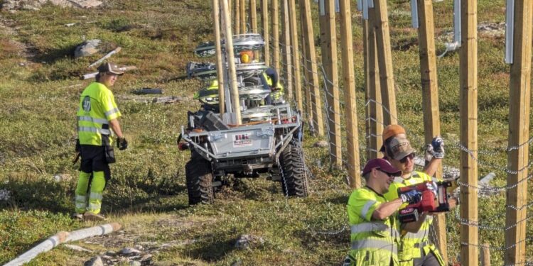 NORUEGA REVITALIZA BARRERA FRONTERIZA PARA CONTENER A SUS RENOS Y EVITAR INCURSIONES EN RUSIA 1 NORUEGA REVITALIZA BARRERA FRONTERIZA PARA CONTENER A SUS RENOS Y EVITAR INCURSIONES EN RUSIA