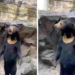 ¡QUÉ OSO! NIEGA ZOÓLOGICO CHINO QUE SUS ANIMALES SEAN PERSONAS DISFRAZADAS 7 ¡QUÉ OSO! NIEGA ZOÓLOGICO CHINO QUE SUS ANIMALES SEAN PERSONAS DISFRAZADAS