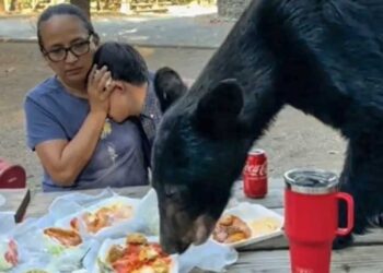 APRUEBAN LEY PARA  DETECCIÓN Y TRATAMIENTO DE CÁNCER EN MENORES