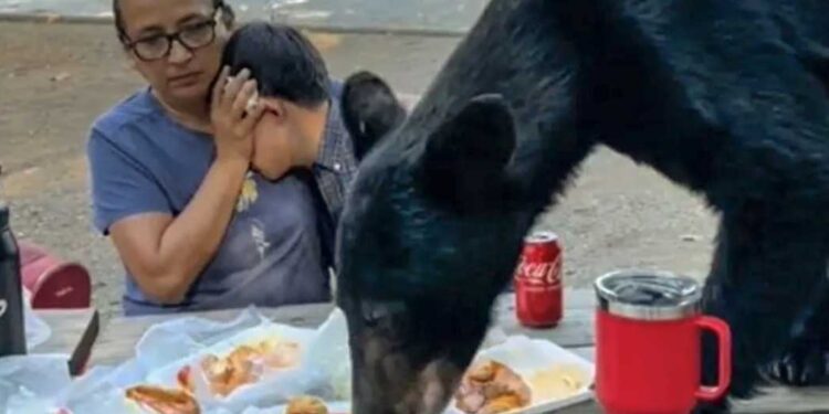 DEVORA OSO TACOS MAÑANEROS 1 APRUEBAN LEY PARA  DETECCIÓN Y TRATAMIENTO DE CÁNCER EN MENORES