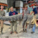 CAZADORES EN MISSISSIPPI ESTABLECEN RÉCORD AL CAPTURAR COCODRILO GIGANTE