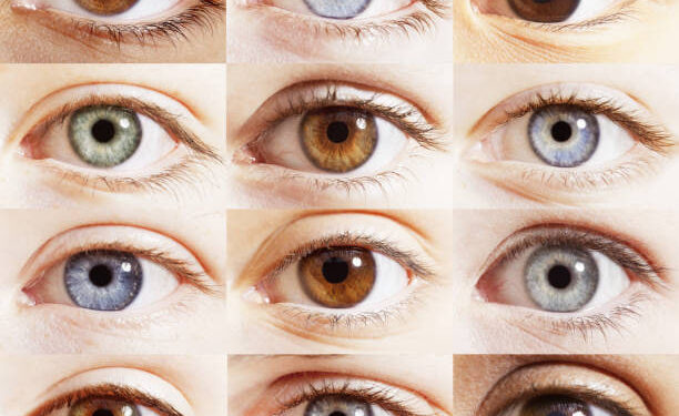 LA VERDADERA RAZÓN DETRÁS DEL COLOR AZUL DE LOS OJOS: UN FENÓMENO ÓPTICO 1 LA VERDADERA RAZÓN DETRÁS DEL COLOR AZUL DE LOS OJOS: UN FENÓMENO ÓPTICO
