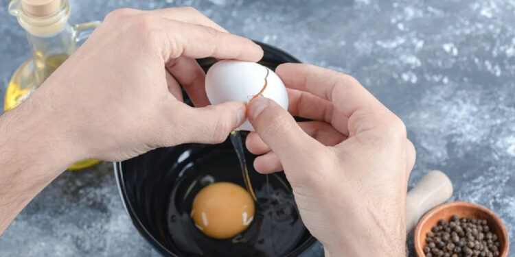 EL CONSUMO DE HUEVOS Y LA SALUD CARDIOVASCULAR: UN ANÁLISIS DE HARVARD 1 EL CONSUMO DE HUEVOS Y LA SALUD CARDIOVASCULAR: UN ANÁLISIS DE HARVARD