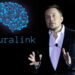 NEURALINK OBTIENE APROBACIÓN PARA REALIZAR PRUEBAS EN HUMANOS CON IMPLANTES CEREBRALES 7 RUMORES SOBRE LA IDENTIDAD DE PESO PLUMA: ¿HIJO DE ADELA NORIEGA Y CARLOS SALINAS DE GORTARI O DE VALENTÍN ELIZALDE?