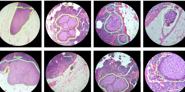 GOOGLE COLABORA CON EL DEPARTAMENTO DE DEFENSA DE EE. UU. PARA DESARROLLAR MICROSCOPIO DE REALIDAD AUMENTADA PARA LA DETECCIÓN DE CÁNCER 1 ¡NUEVA CONVOCATORIA ABIERTA PARA JÓVENES CONSTRUYENDO EL FUTURO!
