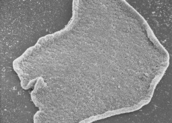 ¡NUEVA CONVOCATORIA ABIERTA PARA JÓVENES CONSTRUYENDO EL FUTURO!