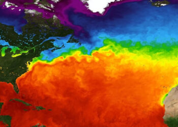 SANCIÓN POTENCIAL PARA PAUL POGBA EN LA JUVENTUS Y ANTECEDENTES POLÉMICOS DEL CLUB