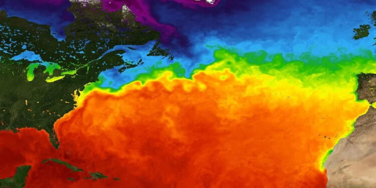 LA CORRIENTE DEL GOLFO SE DEBILITA: IMPLICACIONES PARA EL CLIMA Y EL MEDIO AMBIENTE 1 SANCIÓN POTENCIAL PARA PAUL POGBA EN LA JUVENTUS Y ANTECEDENTES POLÉMICOS DEL CLUB