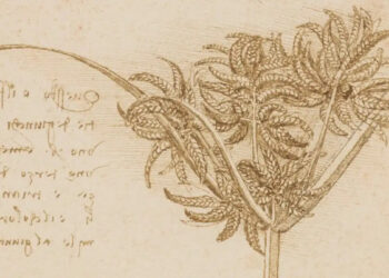 SANCIÓN POTENCIAL PARA PAUL POGBA EN LA JUVENTUS Y ANTECEDENTES POLÉMICOS DEL CLUB