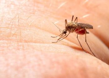 DEVOTOS DE SAN JUDAS TADEO SE REÚNEN EN EL TEMPLO DE SAN HIPÓLITO Y CASIANO: AFECTACIONES VEHICULARES