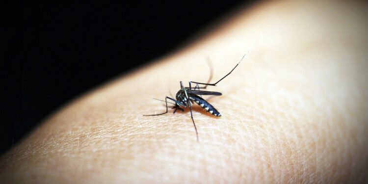 ALERTA: RIESGOS INMINENTES DEL DENGUE EN EMBARAZADAS, ENFERMOS CRÓNICOS Y PEQUEÑOS INOCENTES 1 ALERTA: RIESGOS INMINENTES DEL DENGUE EN EMBARAZADAS, ENFERMOS CRÓNICOS Y PEQUEÑOS INOCENTES