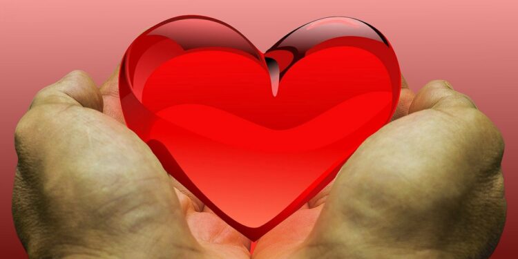 CRISIS NACIONAL: 22 MIL VIDAS PENDEN DE UN HILO ESPERANDO UN MILAGRO ORGÁNICO 1 CRISIS NACIONAL: 22 MIL VIDAS PENDEN DE UN HILO ESPERANDO UN MILAGRO ORGÁNICO