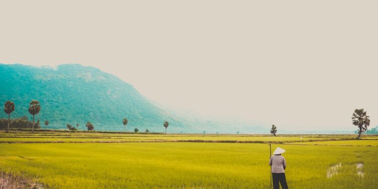¡HISTÓRICO CAMBIO! 400 MIL PRODUCTORES ABANDONAN EL GLIFOSATO PARA ABRIR NUEVOS HORIZONTES AGRÍCOLAS