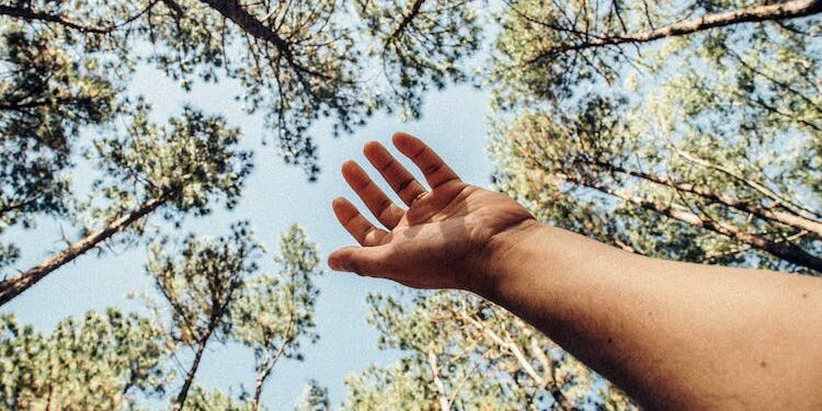 BRAZIL OFRECE GENEROSAS RECOMPENSAS PARA SALVAR LA AMAZONIA, LA JOYA DEL PLANETA 1 BRAZIL OFRECE GENEROSAS RECOMPENSAS PARA SALVAR LA AMAZONIA, LA JOYA DEL PLANETA