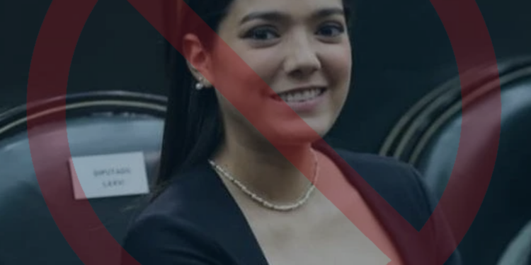 BUSCAN ANULAR LEYES APROBADAS POR DIPUTADA 'PIRATA' 1 BUSCAN ANULAR LEYES APROBADAS POR DIPUTADA ‘PIRATA’