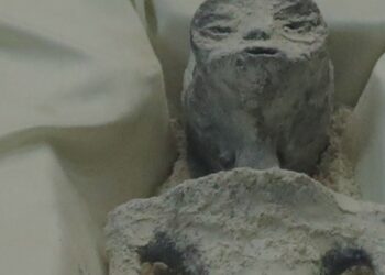 PRESENTA MAUSSAN CUERPOS NO HUMANOS EN CÁMARA DE DIPUTADOS