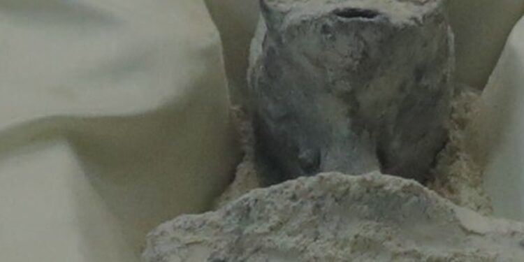 PRESENTA MAUSSAN CUERPOS NO HUMANOS EN CÁMARA DE DIPUTADOS 1 PRESENTA MAUSSAN CUERPOS NO HUMANOS EN CÁMARA DE DIPUTADOS