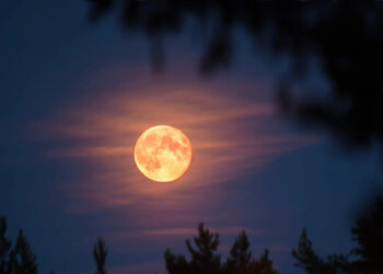 ANYA TAYLOR-JOY Y MALCOLM MCRAE CELEBRAN SU BODA EN VENECIA CON ESTILO