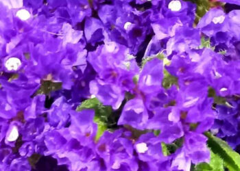 ALERTA POR TORMENTAS TROPICALES “MAX” Y “LIDIA” EN SIETE ESTADOS DE MÉXICO