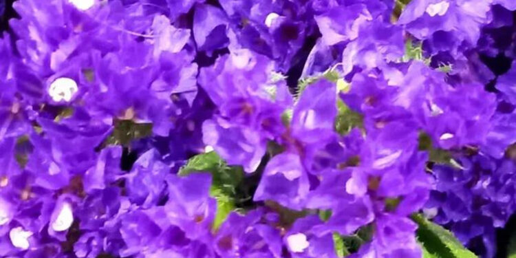 ALERTA POR TORMENTAS TROPICALES “MAX” Y “LIDIA” EN SIETE ESTADOS DE MÉXICO